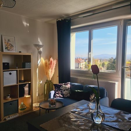 Studio Kaan Avec Terasse 5Mn Basel Airport Saint-Louis  Luaran gambar