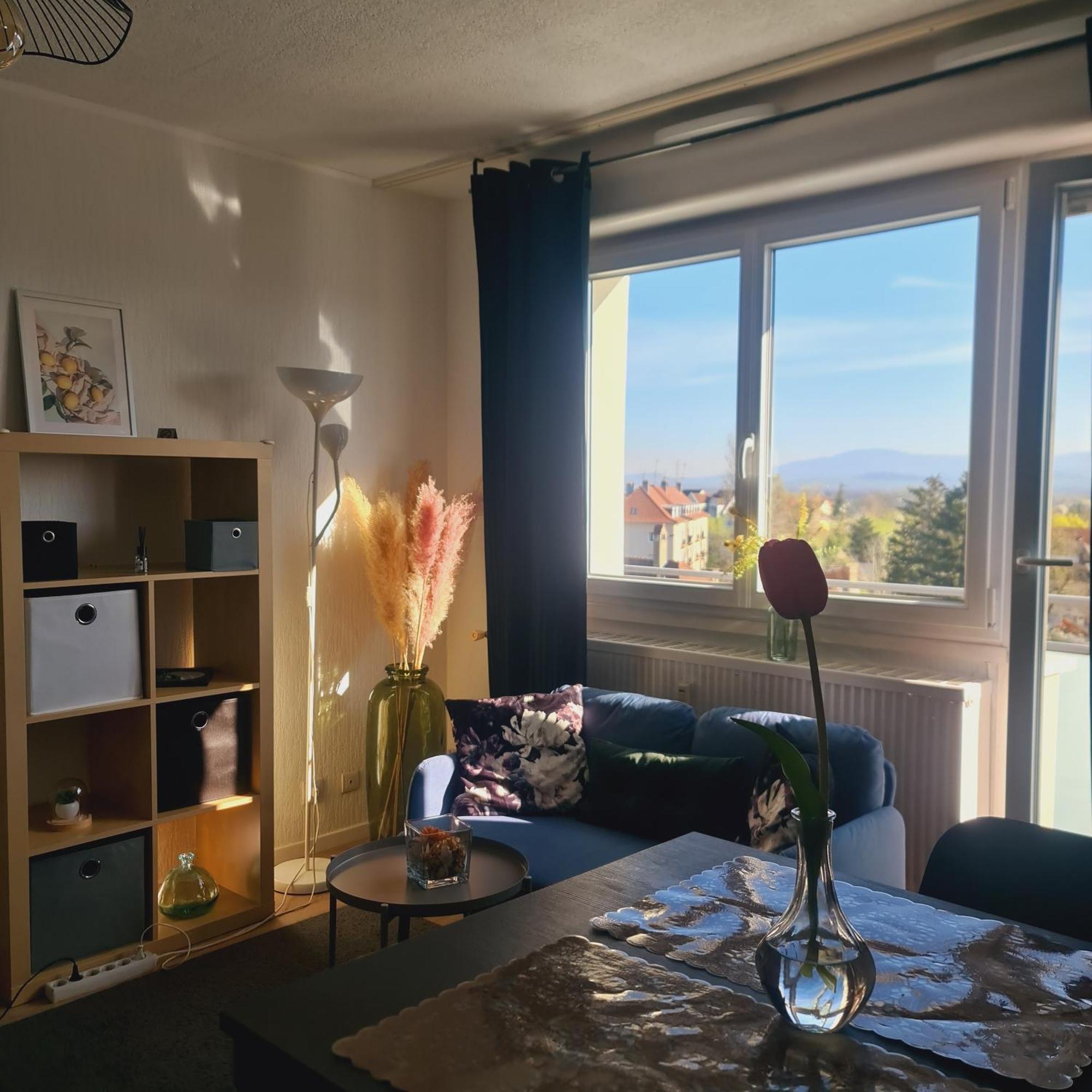 Studio Kaan Avec Terasse 5Mn Basel Airport Saint-Louis  Luaran gambar